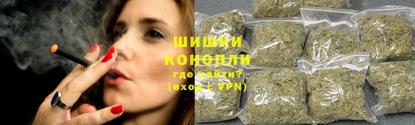 молекула духа Богородск