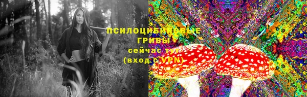 молекула духа Богородск