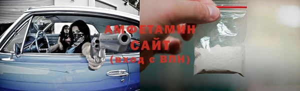 молекула духа Богородск