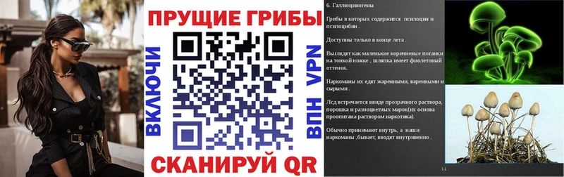 Купить где  Сухиничи  Галлюциногенные грибы Psilocybine cubensis 